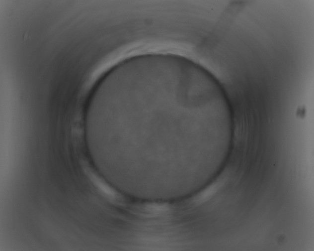 X0000094961498200712131633