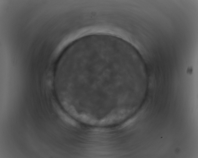 X0000094961499200712131633