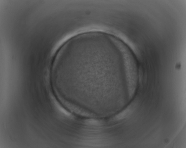 X0000094961500200712131633