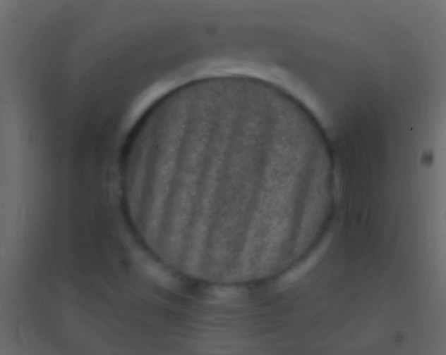 X0000094961501200712131633