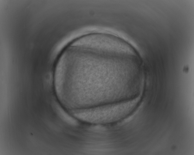 X0000094961503200712131633