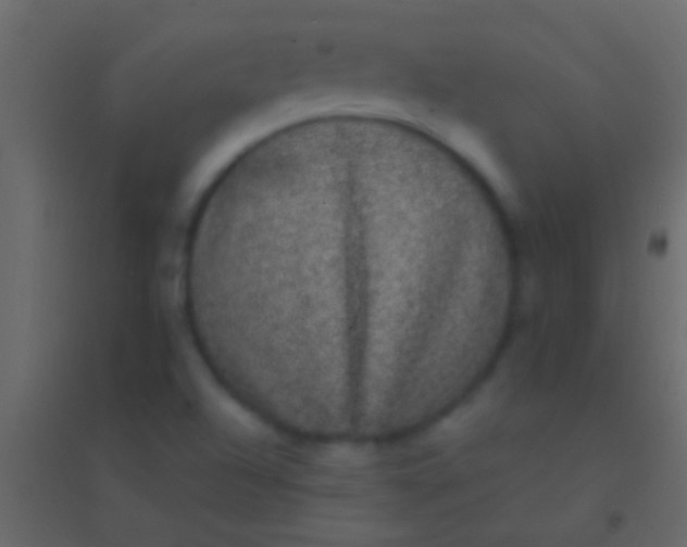 X0000094961504200712131633