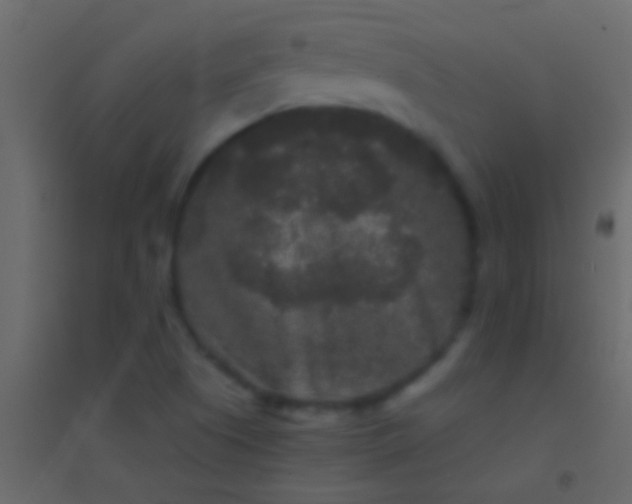 X0000094961505200712131633