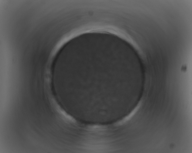 X0000094961506200712131633