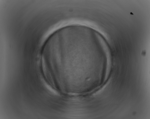 X0000094961507200712131633