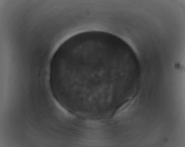 X0000094961508200712131633