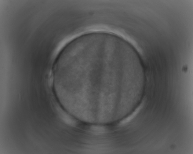 X0000094961509200712131633