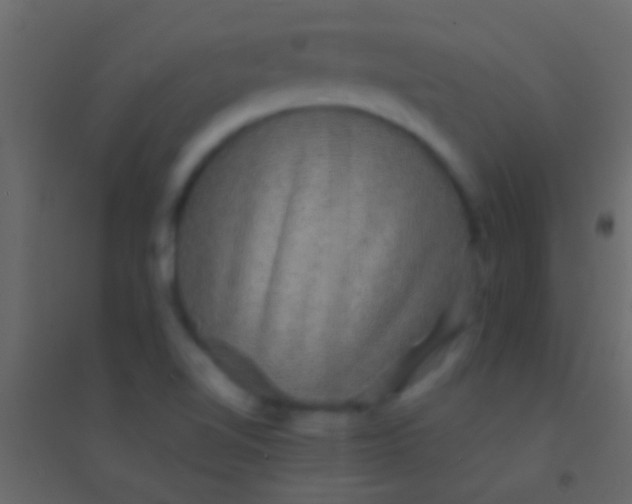 X0000094961510200712131633