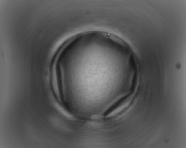 X0000094961511200712131633