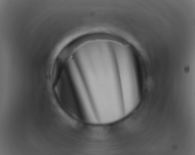 X0000094961512200712131633