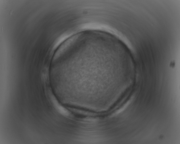 X0000094961513200712131633