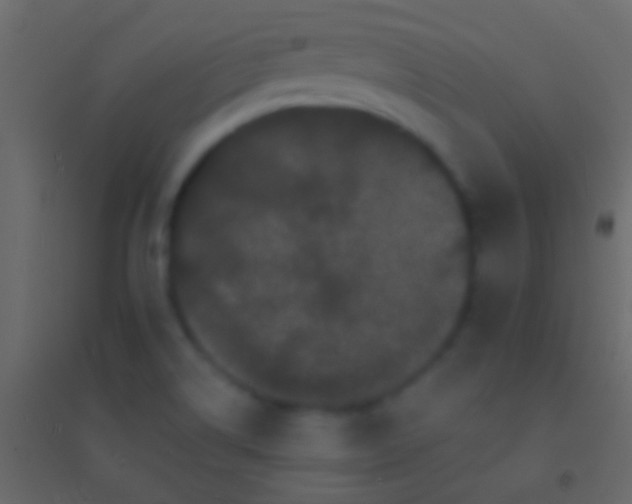 X0000094961514200712131633