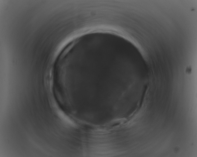 X0000094961515200712131633