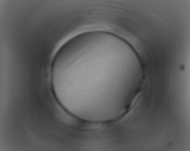 X0000094961516200712131633