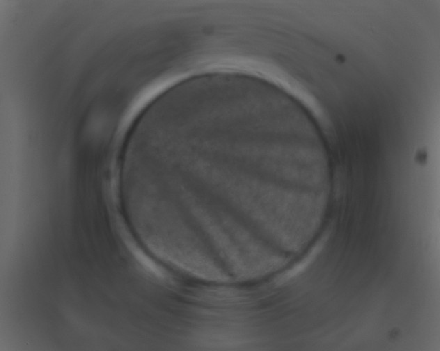 X0000094961517200712131633