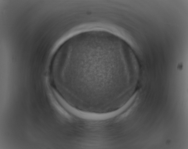 X0000094961518200712131633