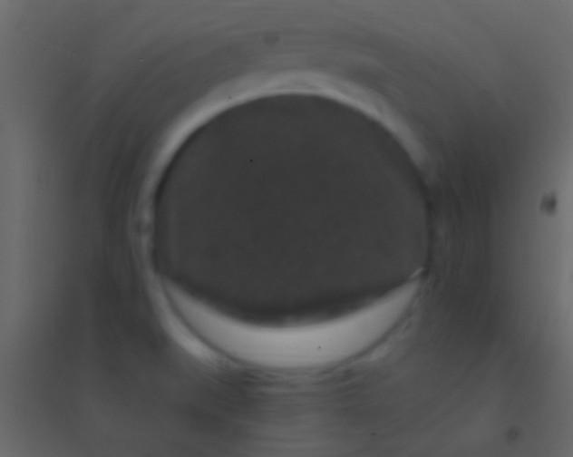 X0000094961519200712131633