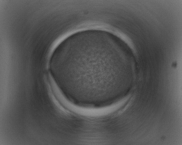 X0000094961520200712131633