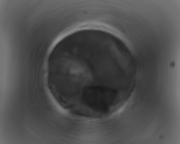 X0000094961522200712131633