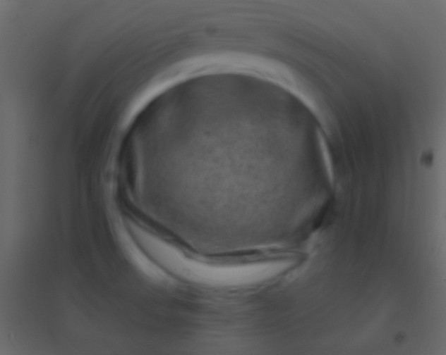 X0000094961523200712131633