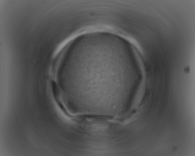 X0000094961524200712131633