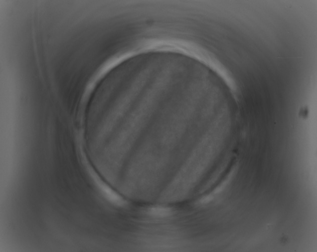 X0000094961525200712131633