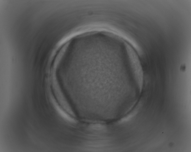 X0000094961526200712131633