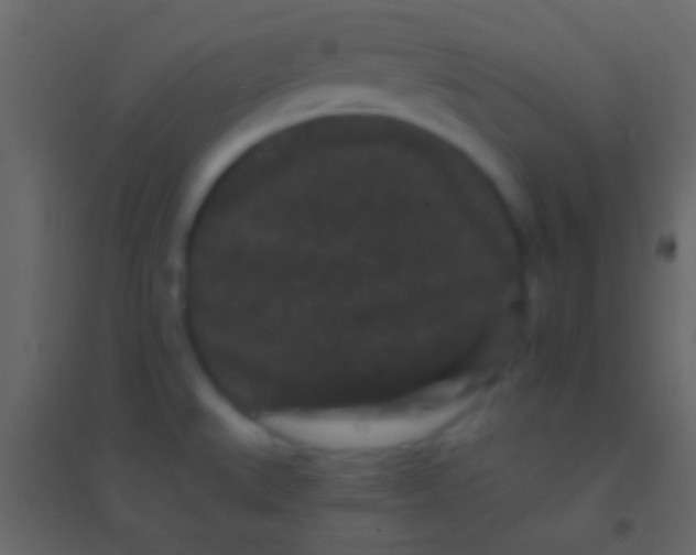 X0000094961527200712131633