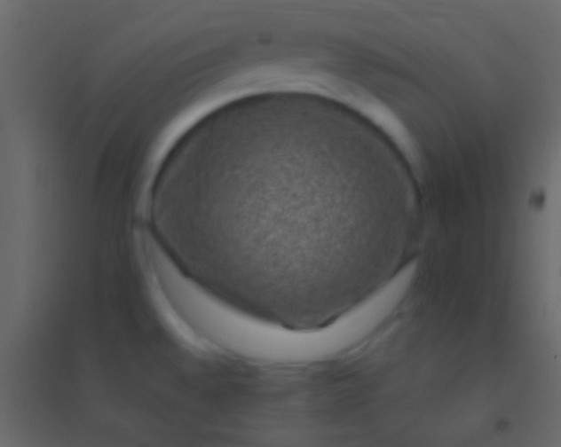 X0000094961528200712131634