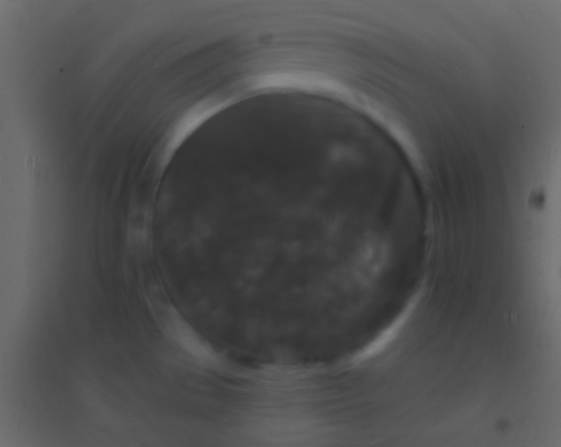 X0000094961529200712131634