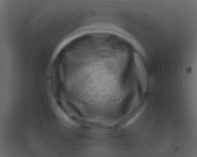 X0000094961530200712131634