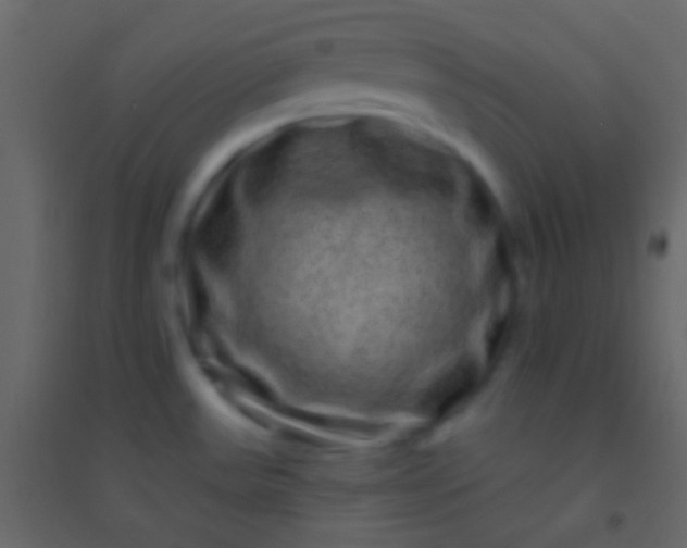 X0000094961531200712131634