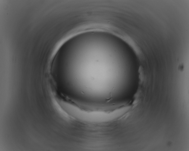 X0000094961532200712131634