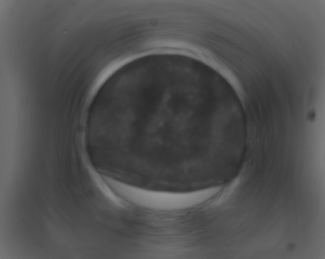 X0000094961533200712131634