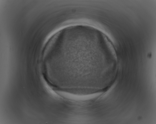 X0000094961534200712131634