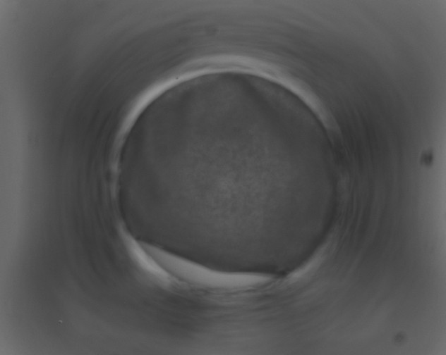 X0000094961535200712131634