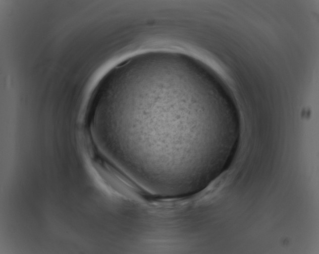 X0000094961536200712131634