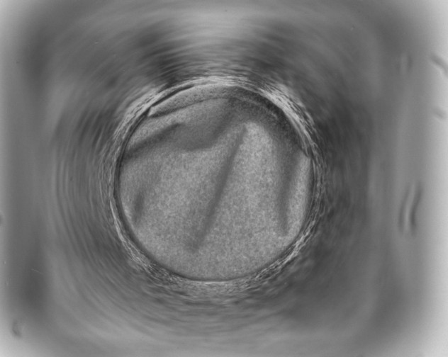 X0000094960001200712201210