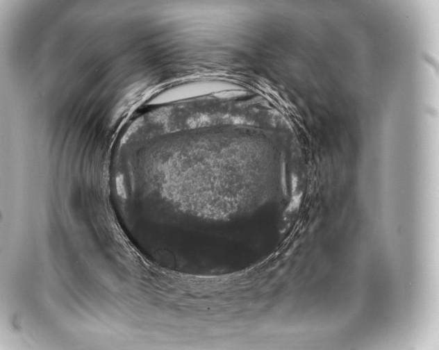 X0000094960002200712201210