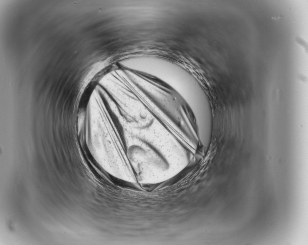 X0000094960003200712201210