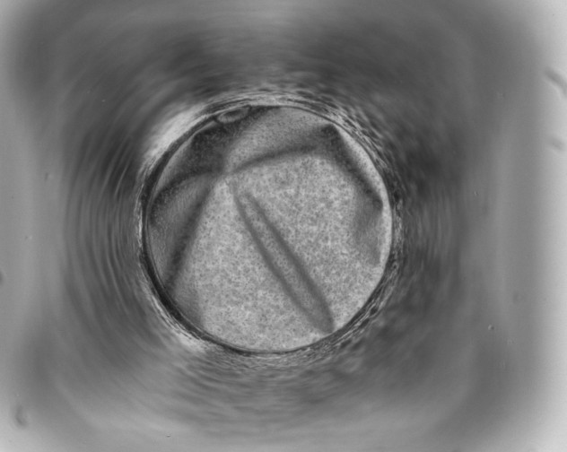 X0000094960005200712201210