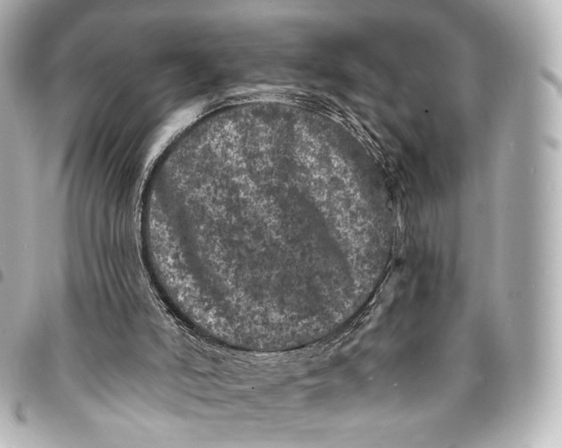 X0000094960006200712201210