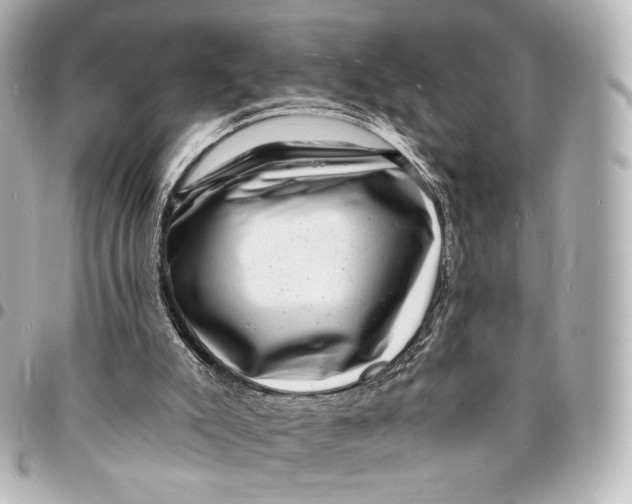 X0000094960007200712201210
