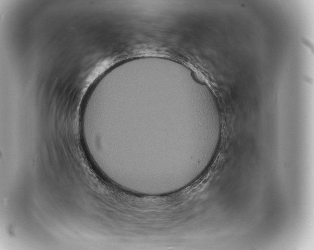 X0000094960008200712201210
