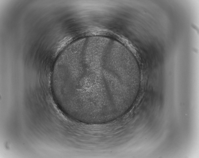 X0000094960010200712201210