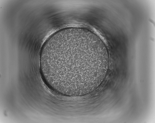 X0000094960011200712201210