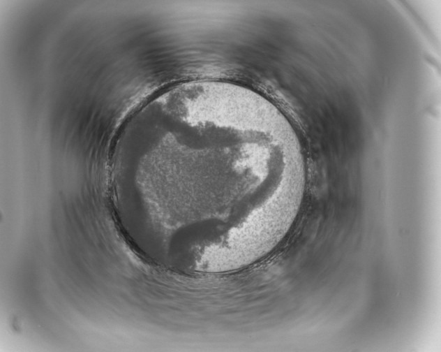 X0000094960012200712201210