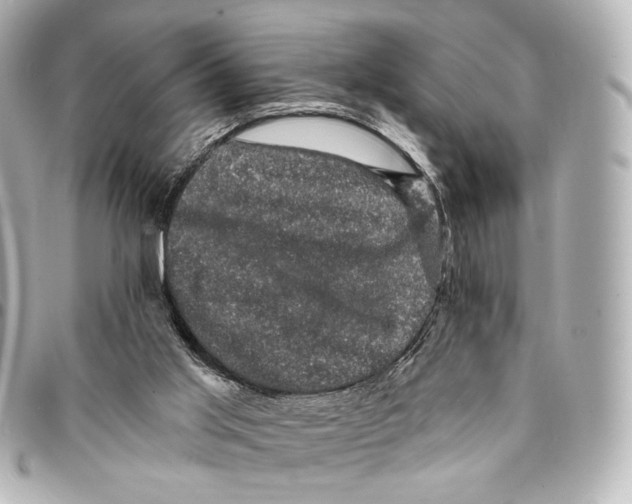X0000094960013200712201210