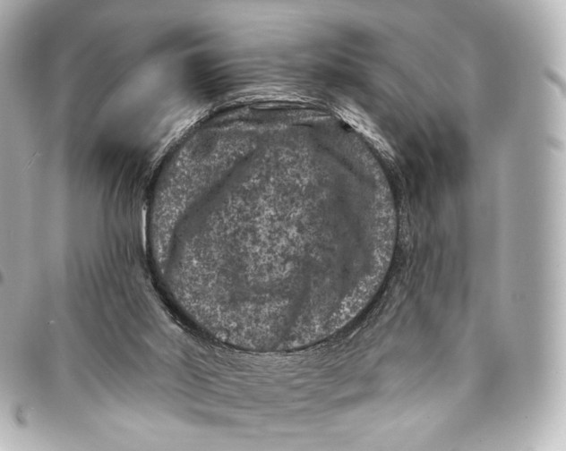 X0000094960014200712201210
