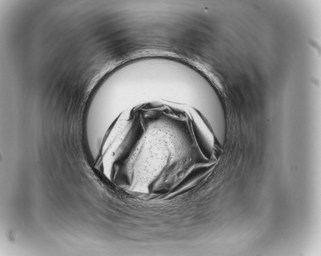 X0000094960015200712201210